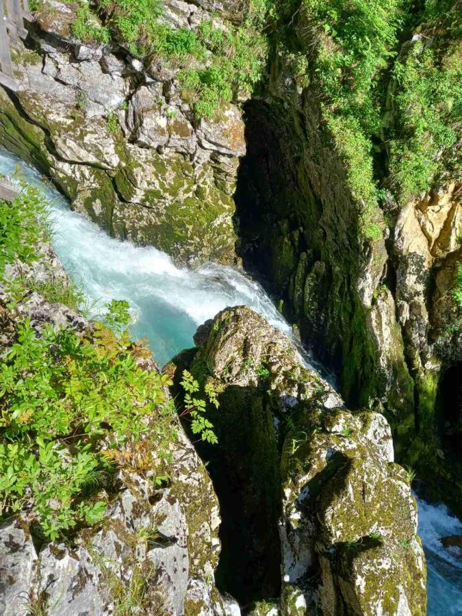 Apartma Marjetica Ii. Blejska Dobrava Dış mekan fotoğraf