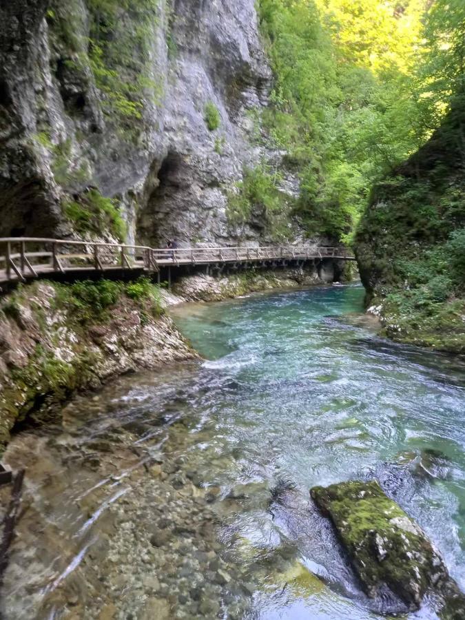 Apartma Marjetica Ii. Blejska Dobrava Dış mekan fotoğraf