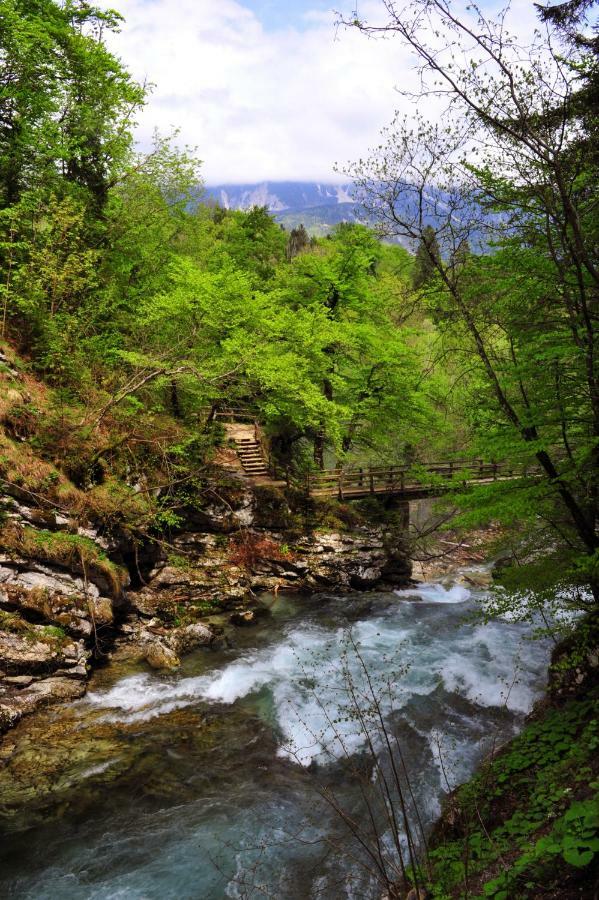 Apartma Marjetica Ii. Blejska Dobrava Dış mekan fotoğraf
