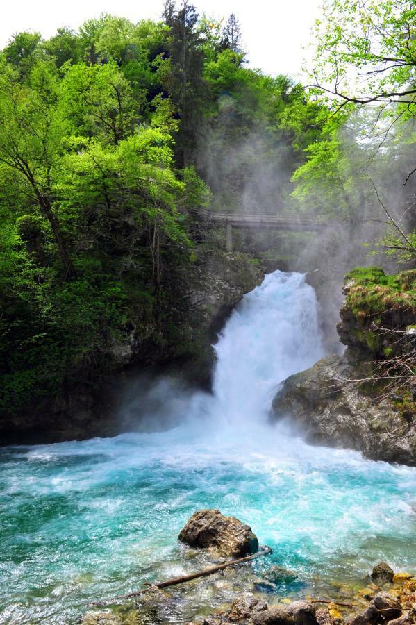 Apartma Marjetica Ii. Blejska Dobrava Dış mekan fotoğraf