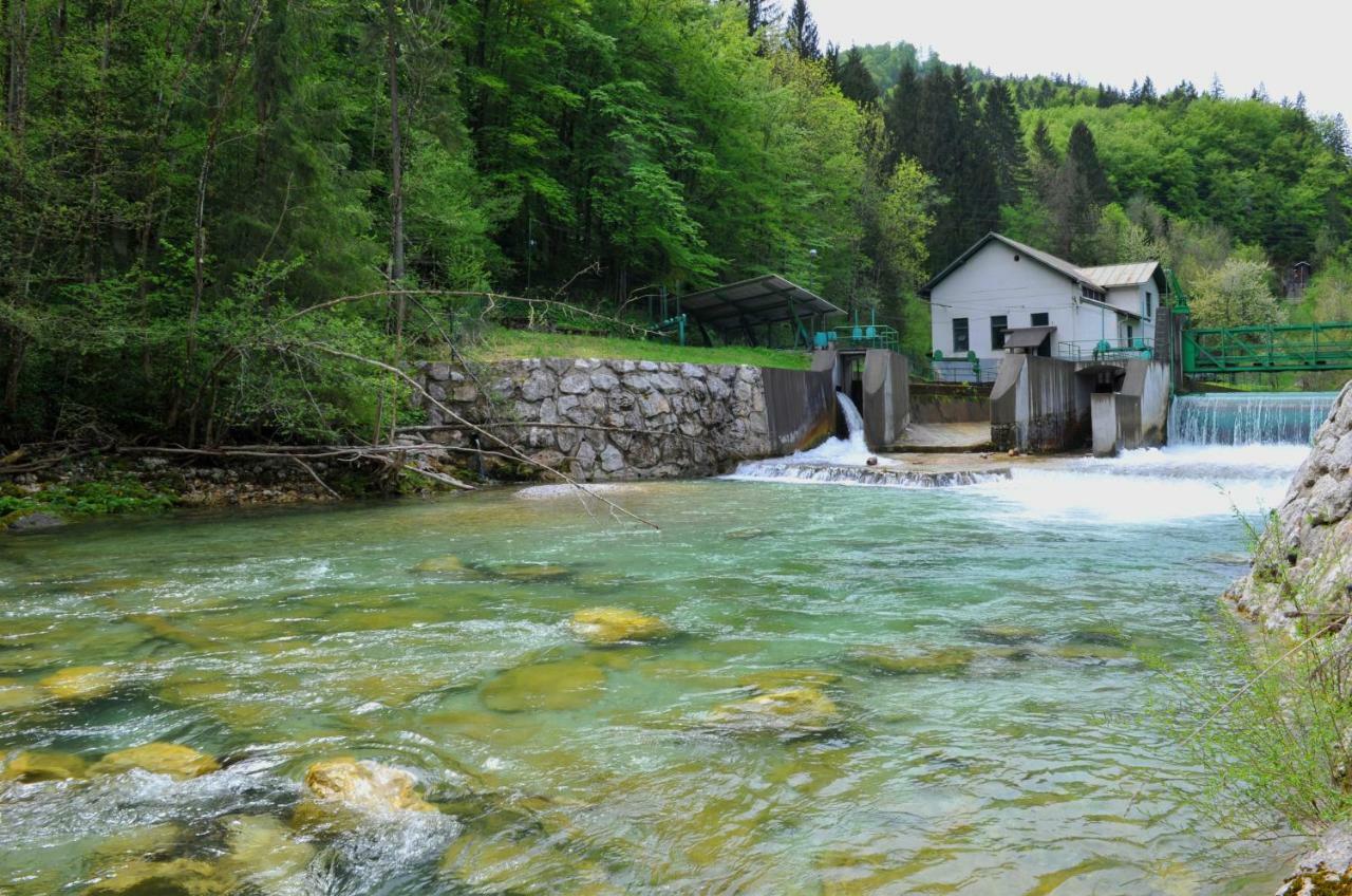 Apartma Marjetica Ii. Blejska Dobrava Dış mekan fotoğraf